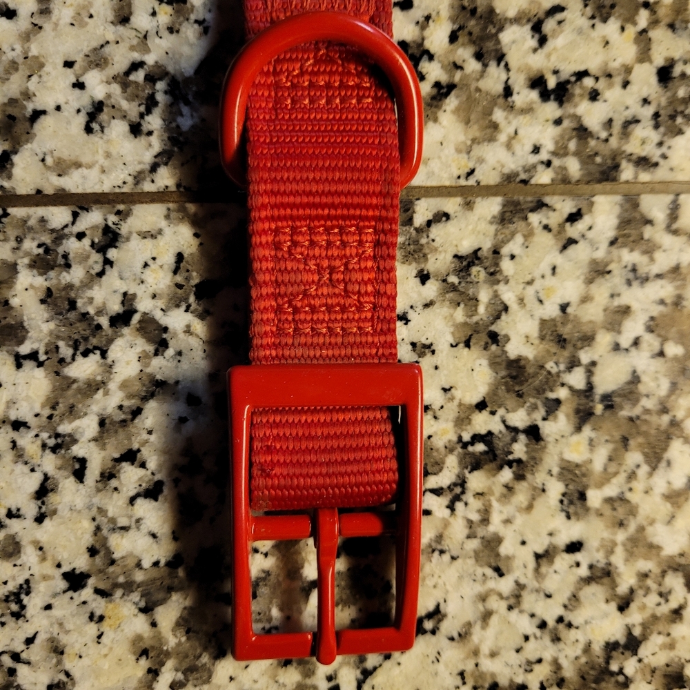 28" nylon dog collar with metal hardware